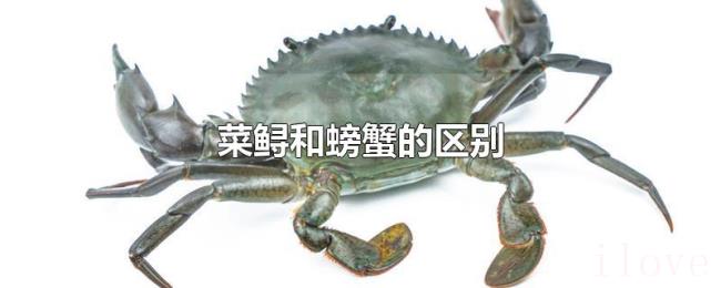 菜鲟和螃蟹的区别 菜鲟和螃蟹的区别