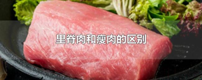 里脊肉和瘦肉的区别 里脊肉和瘦肉的区别