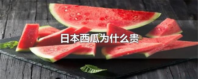 日本西瓜为什么贵