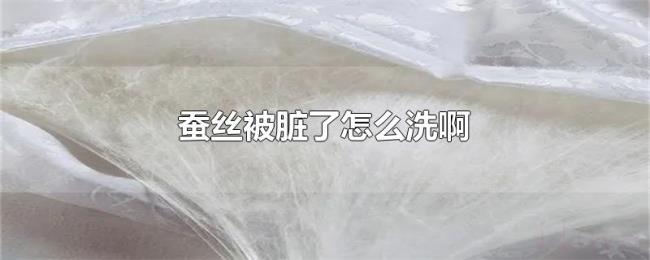 蚕丝被脏了怎么洗啊