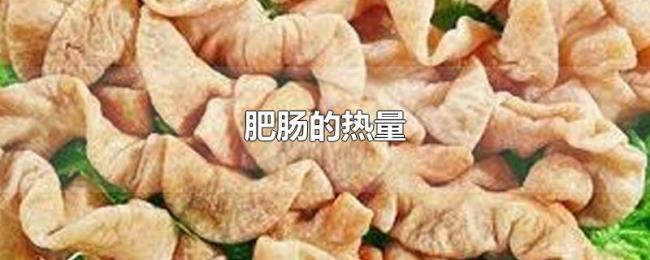 肥肠的热量 肥肠的热量
