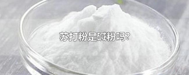 苏打粉是碱粉吗?
