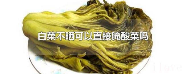 白菜不晒可以直接腌酸菜吗
