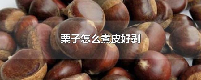 栗子怎么煮皮好剥 栗子怎么煮皮好剥