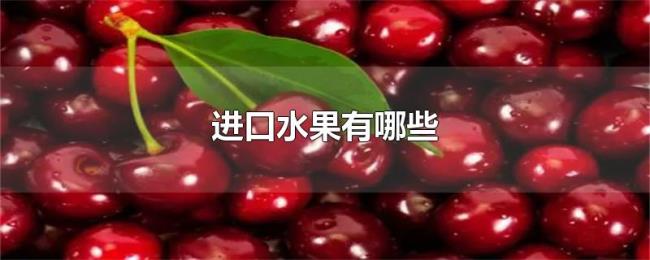 进口水果有哪些