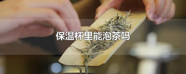 保温杯里能泡茶吗
