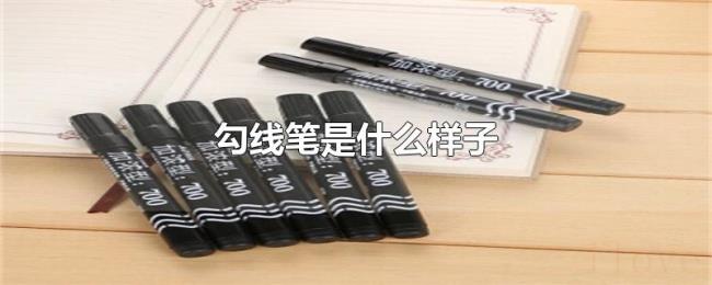 勾线笔是什么样子