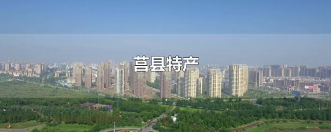 莒县特产