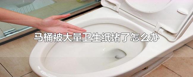 马桶被大量卫生纸堵了怎么办