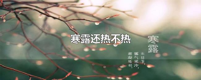 寒露还热不热