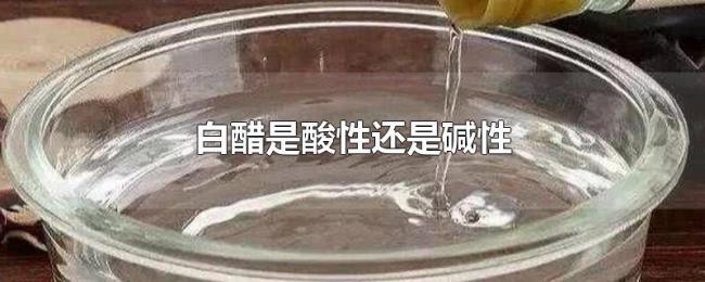 白醋是酸性还是碱性