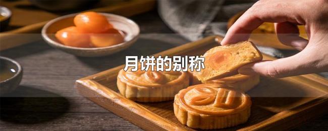 月饼的别称 月饼的别称