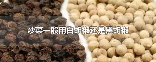 炒菜一般用白胡椒还是黑胡椒