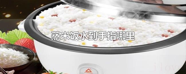 蒸米饭水到手指哪里