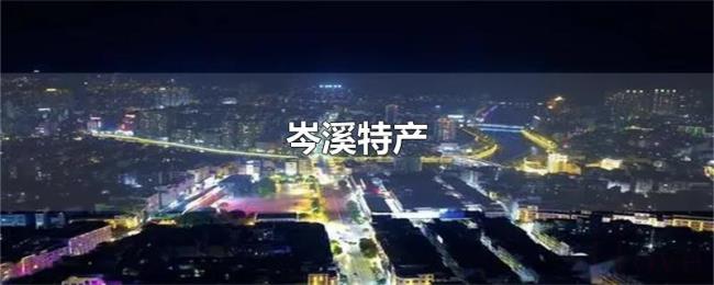 岑溪特产
