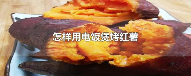 怎样用电饭煲烤红薯 怎样用电饭煲烤红薯
