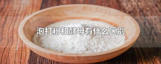 泡打粉和酵母有什么区别