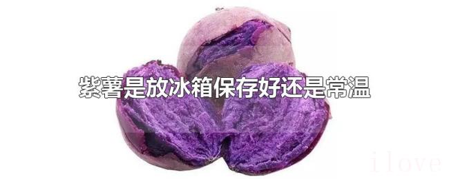 紫薯是放冰箱保存好还是常温 紫薯是放冰箱保存好还是常温