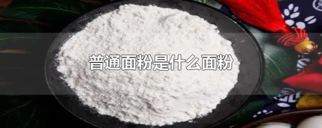 普通面粉是什么面粉