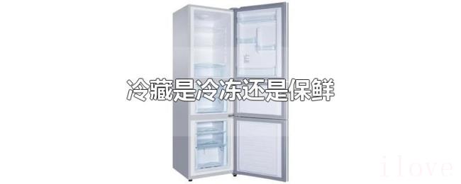 冷藏是冷冻还是保鲜 冷藏是冷冻还是保鲜