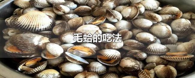 毛蛤的吃法 毛蛤的吃法