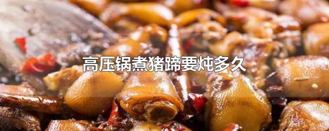 高压锅煮猪蹄要炖多久 高压锅煮猪蹄要炖多久