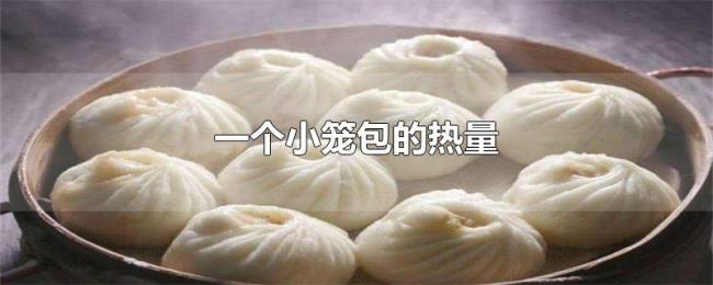 一个小笼包的热量