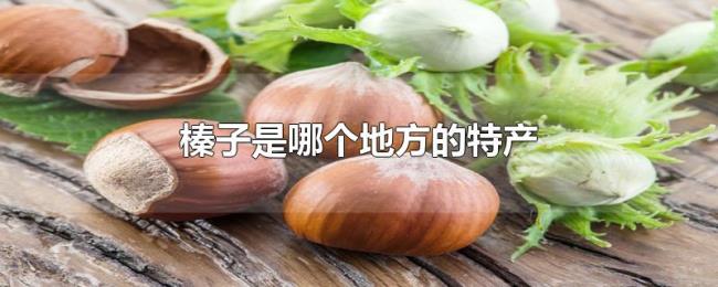 榛子是哪个地方的特产