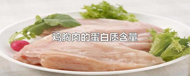 鸡胸肉的蛋白质含量 鸡胸肉的蛋白质含量