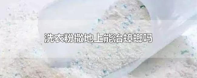洗衣粉撒地上能治蟑螂吗