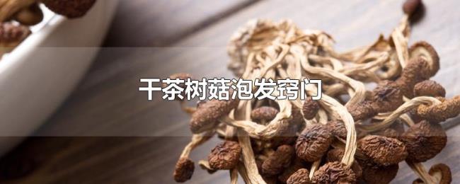 干茶树菇泡发窍门
