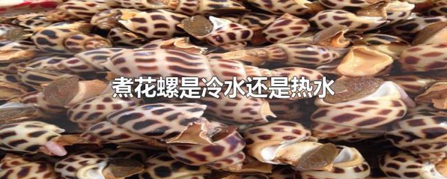 煮花螺是冷水还是热水
