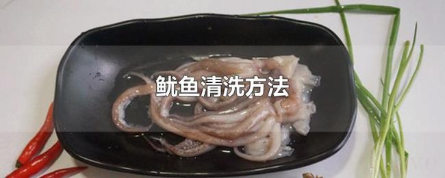 鱿鱼清洗方法