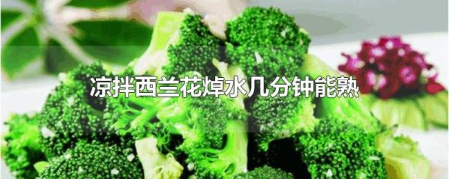 凉拌西兰花焯水几分钟能熟 凉拌西兰花焯水几分钟能熟