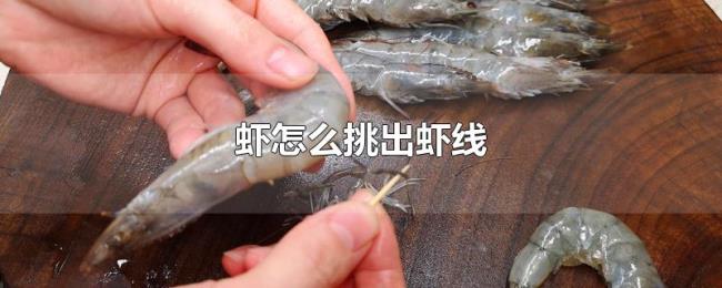 虾怎么挑出虾线 虾怎么挑出虾线
