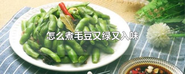 怎么煮毛豆又绿又入味 怎么煮毛豆又绿又入味