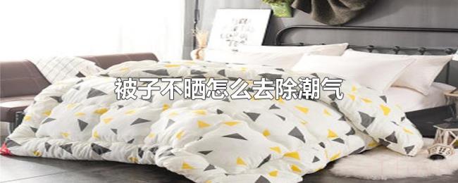 被子不晒怎么去除潮气 被子不晒怎么去除潮气