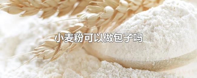 小麦粉可以做包子吗