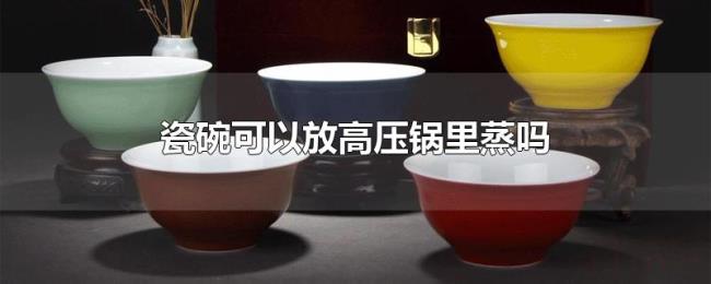 瓷碗可以放高压锅里蒸吗 瓷碗可以放高压锅里蒸吗