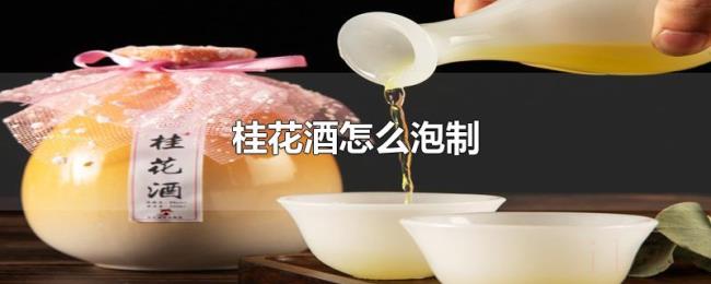 桂花酒怎么泡制 桂花酒怎么泡制