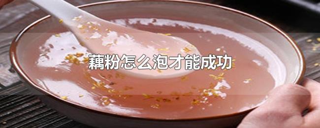 藕粉怎么泡才能成功 藕粉怎么泡才能成功