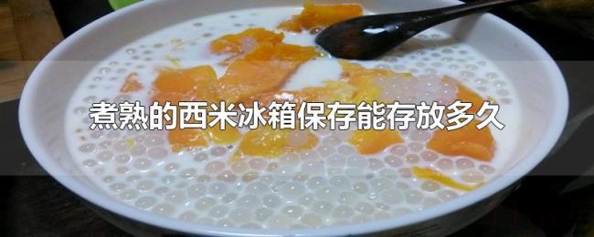 煮熟的西米冰箱保存能存放多久 煮熟的西米冰箱保存能存放多久