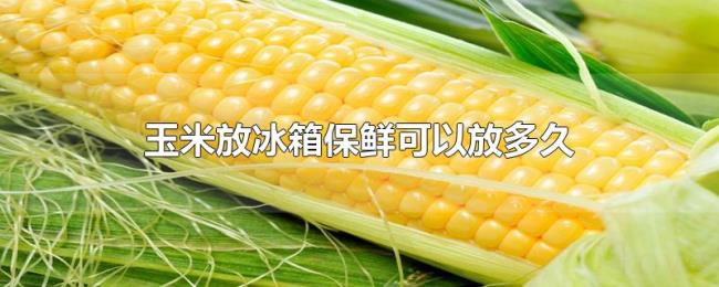 玉米放冰箱保鲜可以放多久