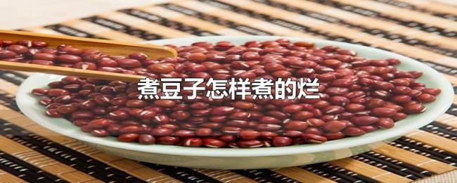煮豆子怎样煮的烂