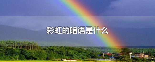 彩虹的暗语是什么