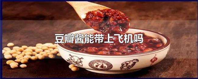 豆瓣酱能带上飞机吗