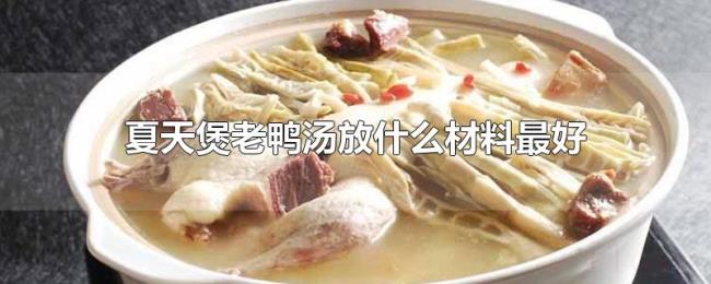 夏天煲老鸭汤放什么材料最好 夏天煲老鸭汤放什么材料最好