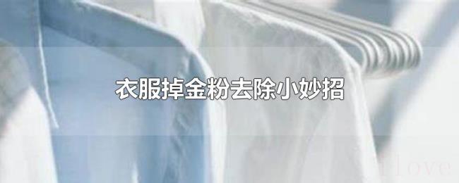 衣服掉金粉去除小妙招 衣服掉金粉去除小妙招