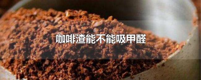 咖啡渣能不能吸甲醛 咖啡渣能不能吸甲醛