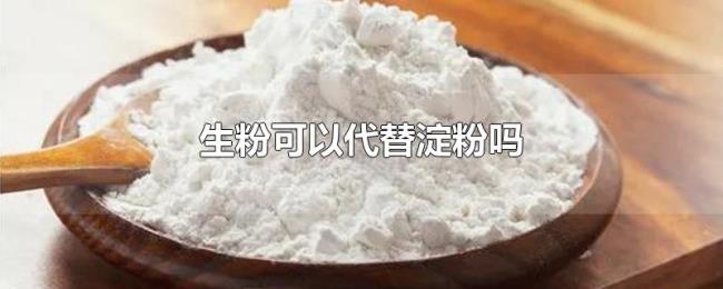 生粉可以代替淀粉吗